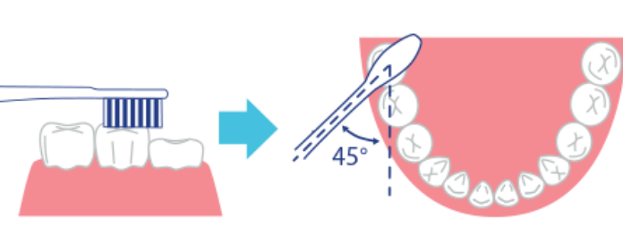 歯ブラシを斜めに入れる
